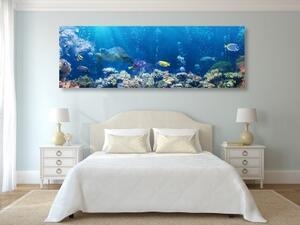 Obraz tropické rybky - 120x40 cm