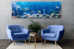 Obraz tropické rybky - 150x50 cm