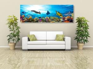 Obraz korálový útes s rybkami a želvami - 150x50 cm