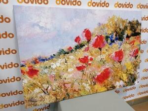 Obraz malované máky na louce - 120x80 cm