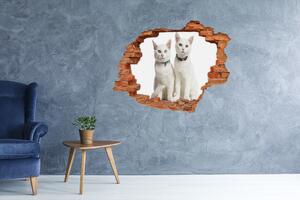Nálepka fototapeta 3D na zeď Bílé kočky nd-c-97350767