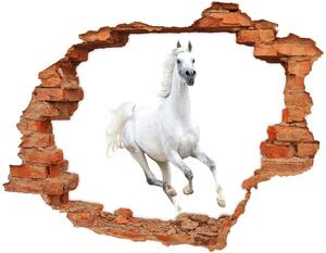 Fototapeta díra na zeď Bílý arabský kůň nd-c-99028092
