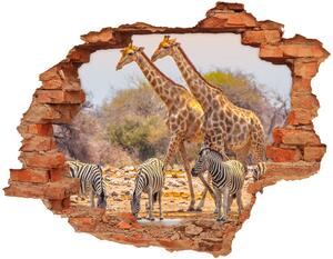 Díra 3D fototapeta nálepka Žirafy a zebry nd-c-99320619