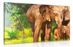 Obraz sloní rodinka - 60x40 cm