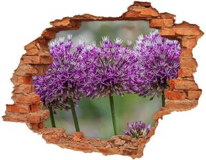 Samolepící díra na stěnu Květ česneku nd-c-99551256