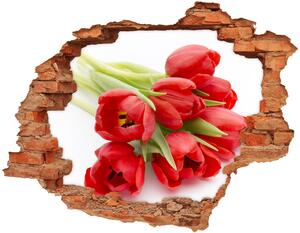 Samolepící díra na stěnu Červené tulipány nd-c-99817079