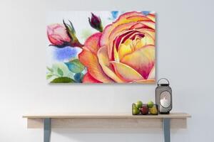 Obraz růže v růžových odstínech - 60x40 cm