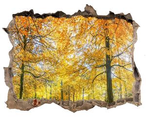 Nálepka fototapeta 3D výhled Podzim les nd-k-70578437