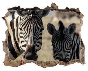 Díra 3D fototapeta nálepka Dvě zebry nd-k-70684470