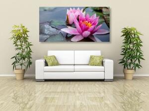 Obraz růžový lotosový květ - 100x50 cm