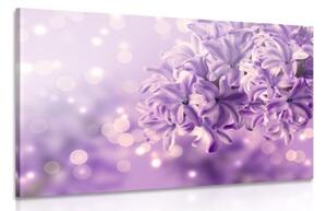 Obraz fialový květ šeříku - 90x60 cm