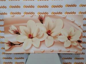 Obraz luxusní magnolie s perlami - 100x50 cm