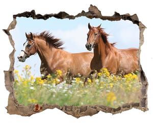 Díra 3D fototapeta Dva koně ve cvalu nd-k-71484450