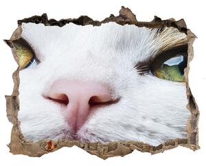Díra 3D fototapeta nálepka Zelená kočičí oči nd-k-72425776