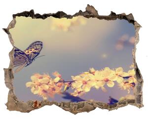 Fototapeta díra na zeď Květ višně a motýl nd-k-72331211