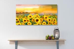 Obraz slunečnicové pole - 100x50 cm