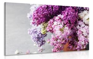 Obraz šeřík v růžových odstínech - 60x40 cm