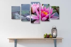 5-dílný obraz růžový lotosový květ - 100x50 cm