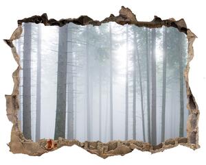 Nálepka fototapeta 3D výhled Mlha v lese nd-k-74026356