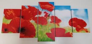 5-dílný obraz květy máku na louce - 100x50 cm