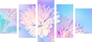 5-dílný obraz květ chryzantémy - 100x50 cm