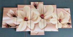 5-dílný obraz luxusní magnolie s perlami - 100x50 cm