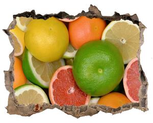 Nálepka 3D díra Citrusové ovoce nd-k-75213206