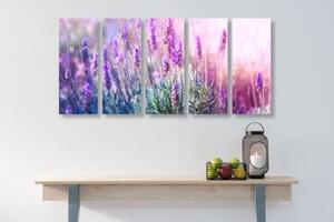 5-dílný obraz kouzelné květy levandule - 100x50 cm