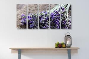 5-dílný obraz kytice z levandule - 100x50 cm