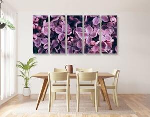 5-dílný obraz fialové květy šeříku - 100x50 cm