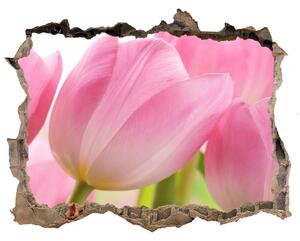 Samolepící díra nálepka Růžové tulipány nd-k-76775867