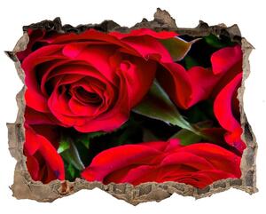 Samolepící díra nálepka Červené růže nd-k-76865971