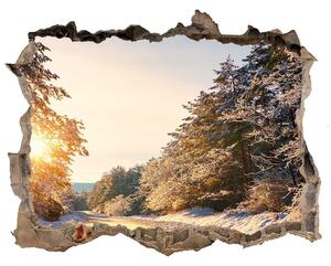 Nálepka fototapeta 3D Cesta v lese zima nd-k-77332313
