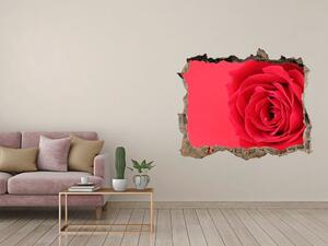 Díra 3D fototapeta na stěnu Červená růže nd-k-77656963