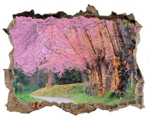 Nálepka fototapeta 3D výhled Květy višně nd-k-77554228