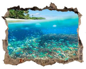 Nálepka fototapeta 3D výhled Korálový útes nd-k-78236057