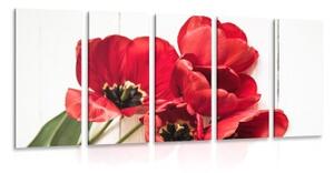 5-dílný obraz červené tulipány v rozkvětu - 100x50 cm