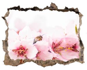 Samolepící díra na stěnu Květy višně nd-k-79943111