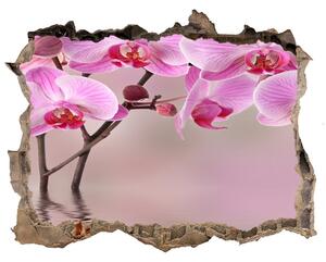 Samolepící díra na stěnu Růžová orchidej nd-k-79883275