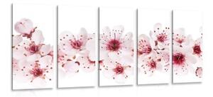 5-dílný obraz třešňové květy - 100x50 cm