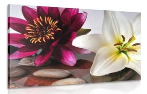 Obraz květiny v misce se Zen kameny - 120x80 cm