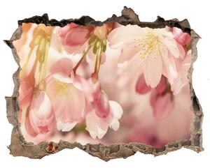 Samolepící díra na stěnu Květy višně nd-k-81037561