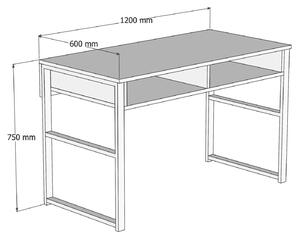 Pracovní stůl Nove 120 × 75 × 60 cm HANAH HOME