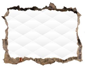 Díra 3D fototapeta nálepka Abstrakce pozadí nd-k-81713456