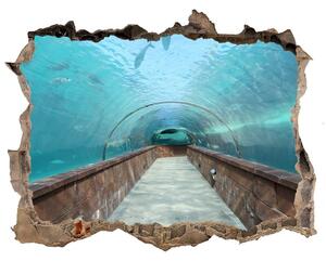 Fototapeta díra na zeď 3D Tunel akvárium nd-k-82197217