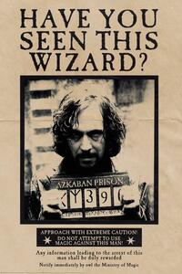 Plakát, Obraz - Harry Potter - Wanted Sirius Black