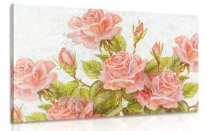 Obraz vintage kytice růží - 60x40 cm