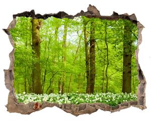 Nálepka fototapeta 3D výhled Květiny v lesem nd-k-83235444