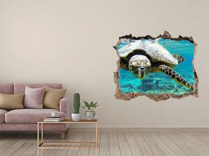 Díra 3D fototapeta nálepka Mořská želva nd-k-83762438