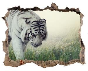 Díra 3D fototapeta nálepka Bílý tygr nd-k-84071201